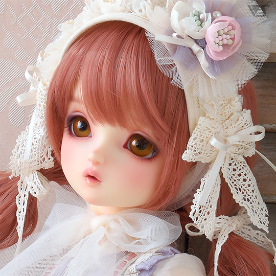 モデルドルフィー