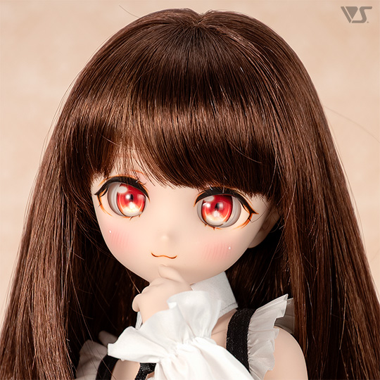 モデルドルフィー