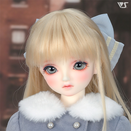 モデルドルフィー