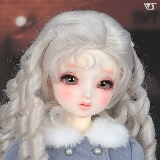 モデルドルフィー