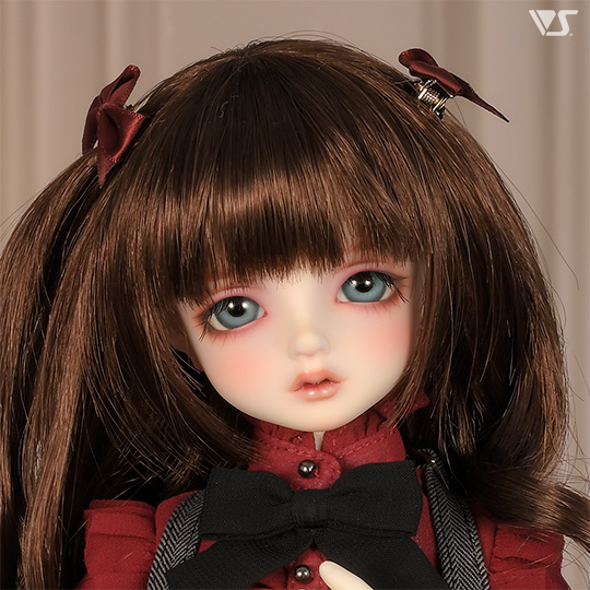 モデルドルフィー