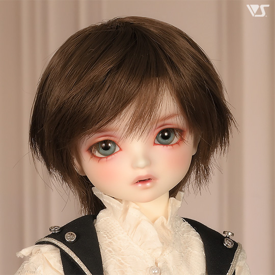 モデルドルフィー