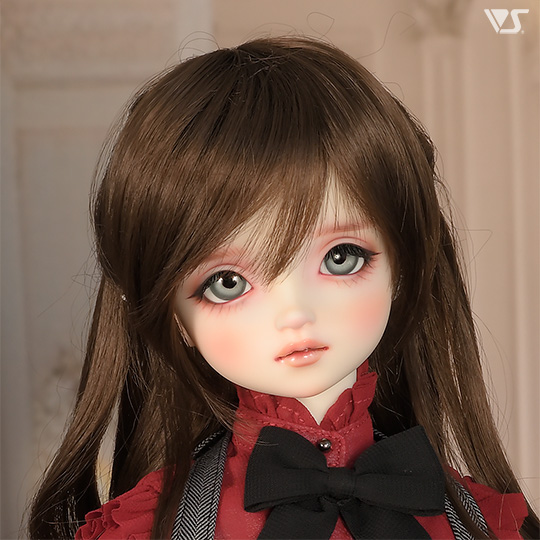 モデルドルフィー