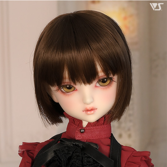 モデルドルフィー
