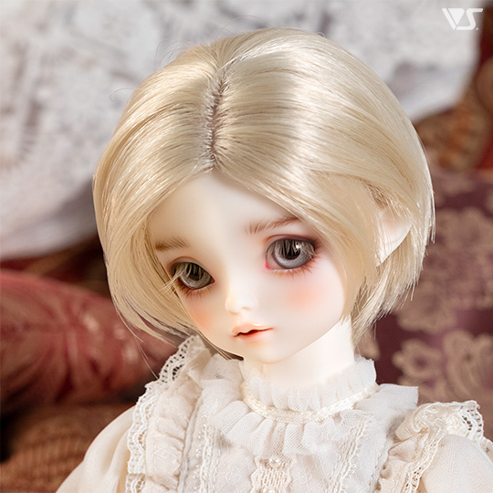 モデルドルフィー