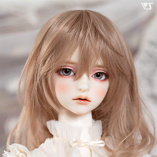 モデルドルフィー
