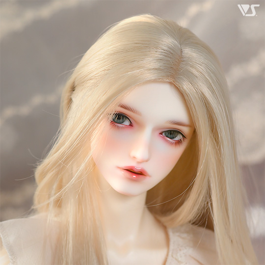 モデルドルフィー