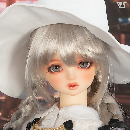 モデルドルフィー