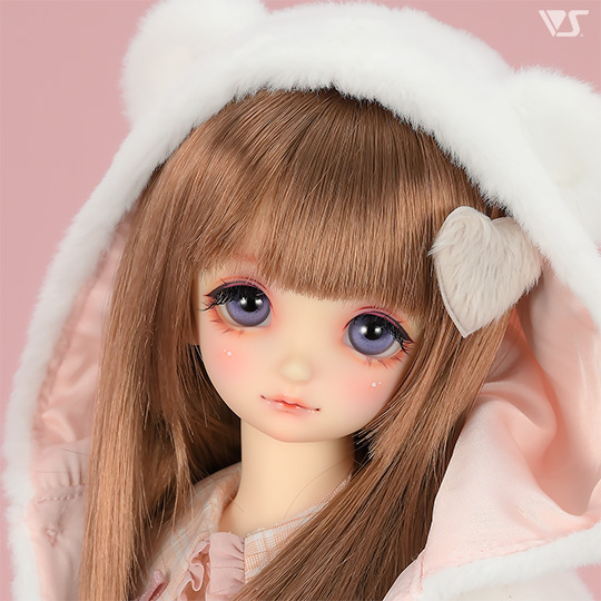 モデルドルフィー