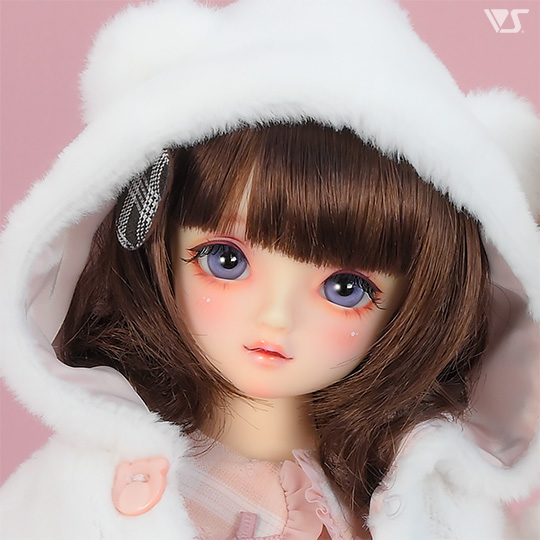 モデルドルフィー