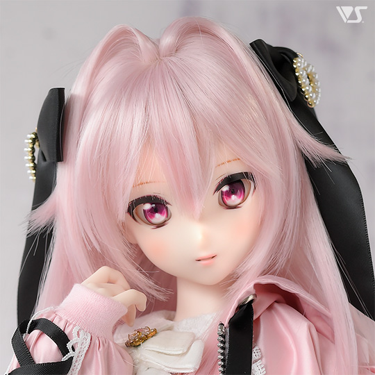 モデルドルフィー
