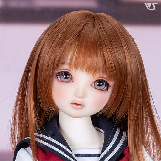 モデルドルフィー