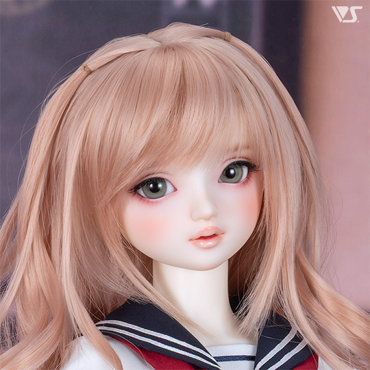 モデルドルフィー