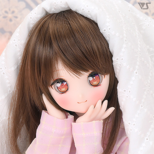 モデルドルフィー