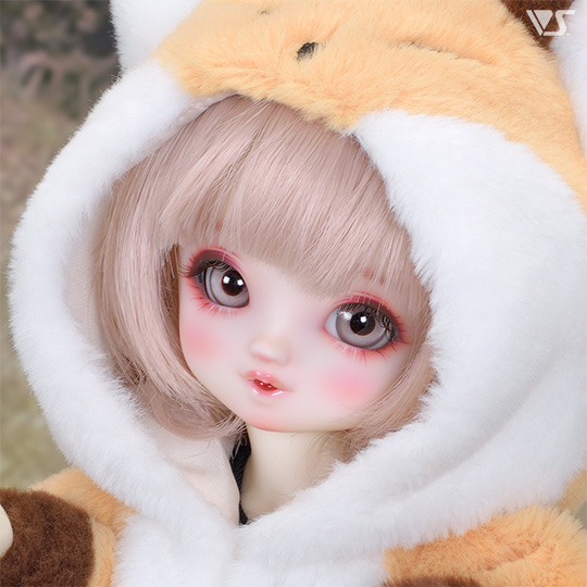 モデルドルフィー