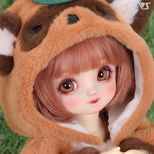 モデルドルフィー