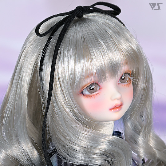 モデルドルフィー