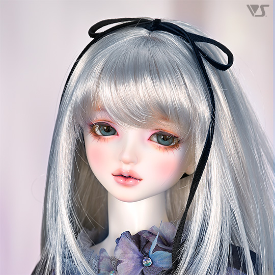 モデルドルフィー