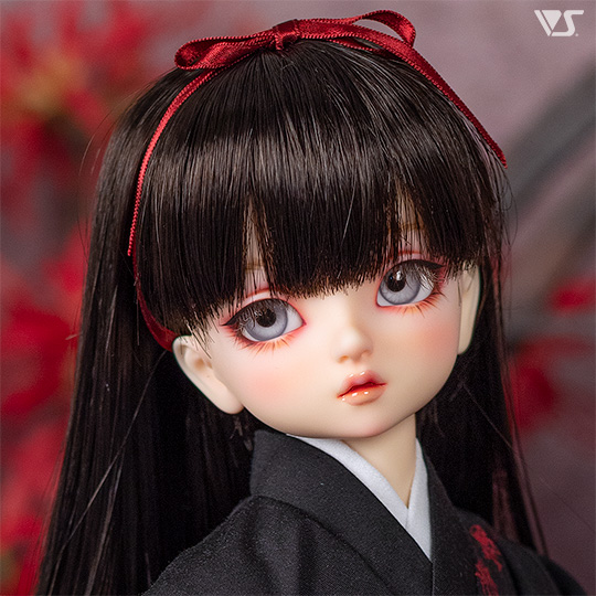 モデルドルフィー