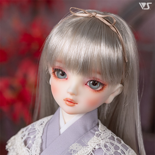 モデルドルフィー