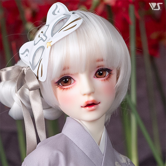 モデルドルフィー