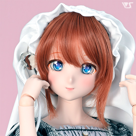 モデルドルフィー