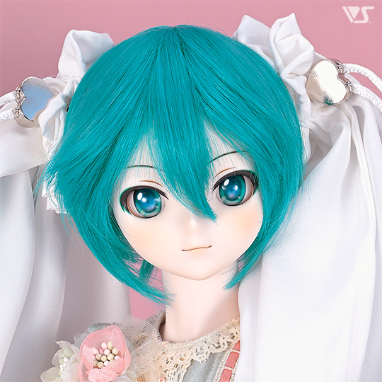 モデルドルフィー