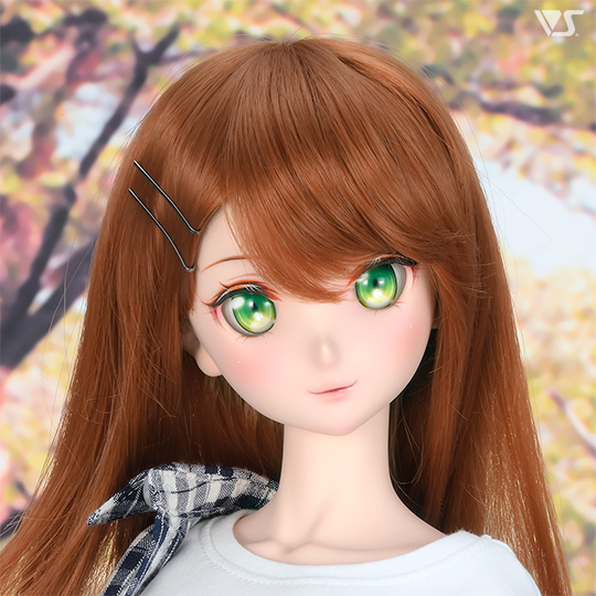 モデルドルフィー