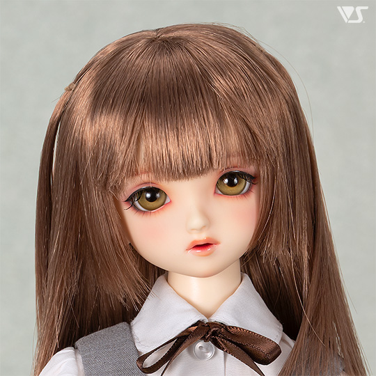 モデルドルフィー
