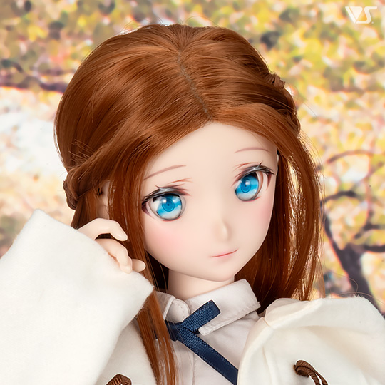 モデルドルフィー