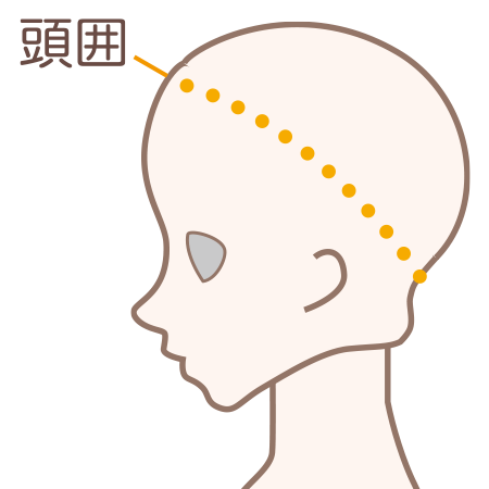 ウィッグ品番の見方