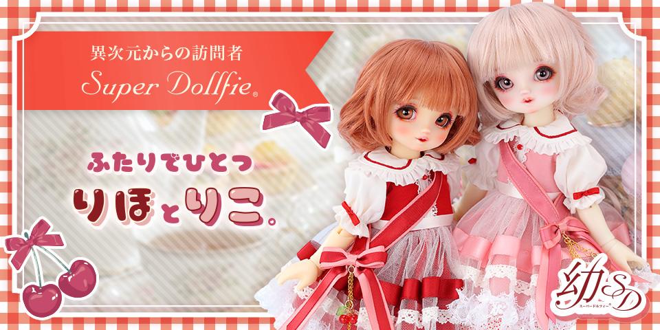 限定モデル | ボークス公式 ドルフィー総合サイト