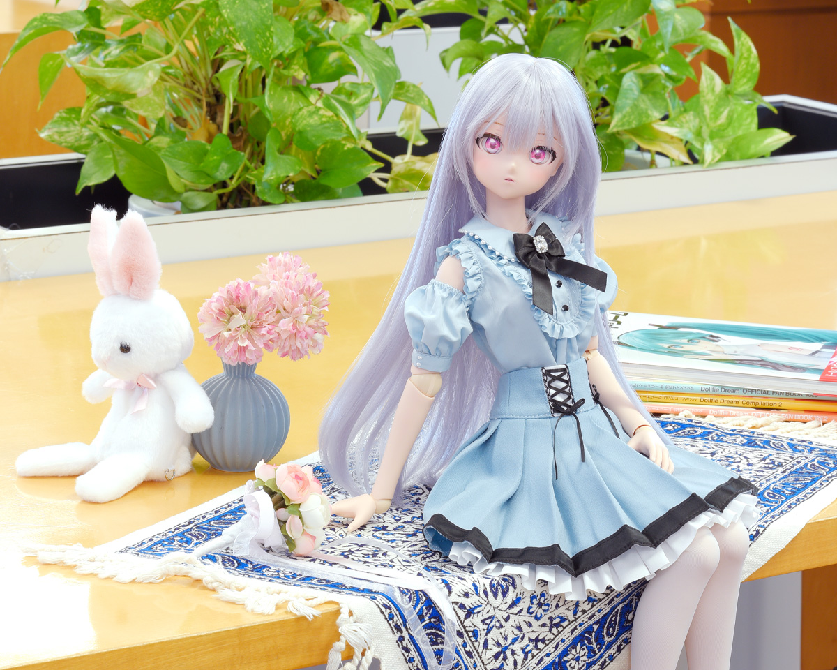 ドルフィードリームのいる生活のご紹介♪