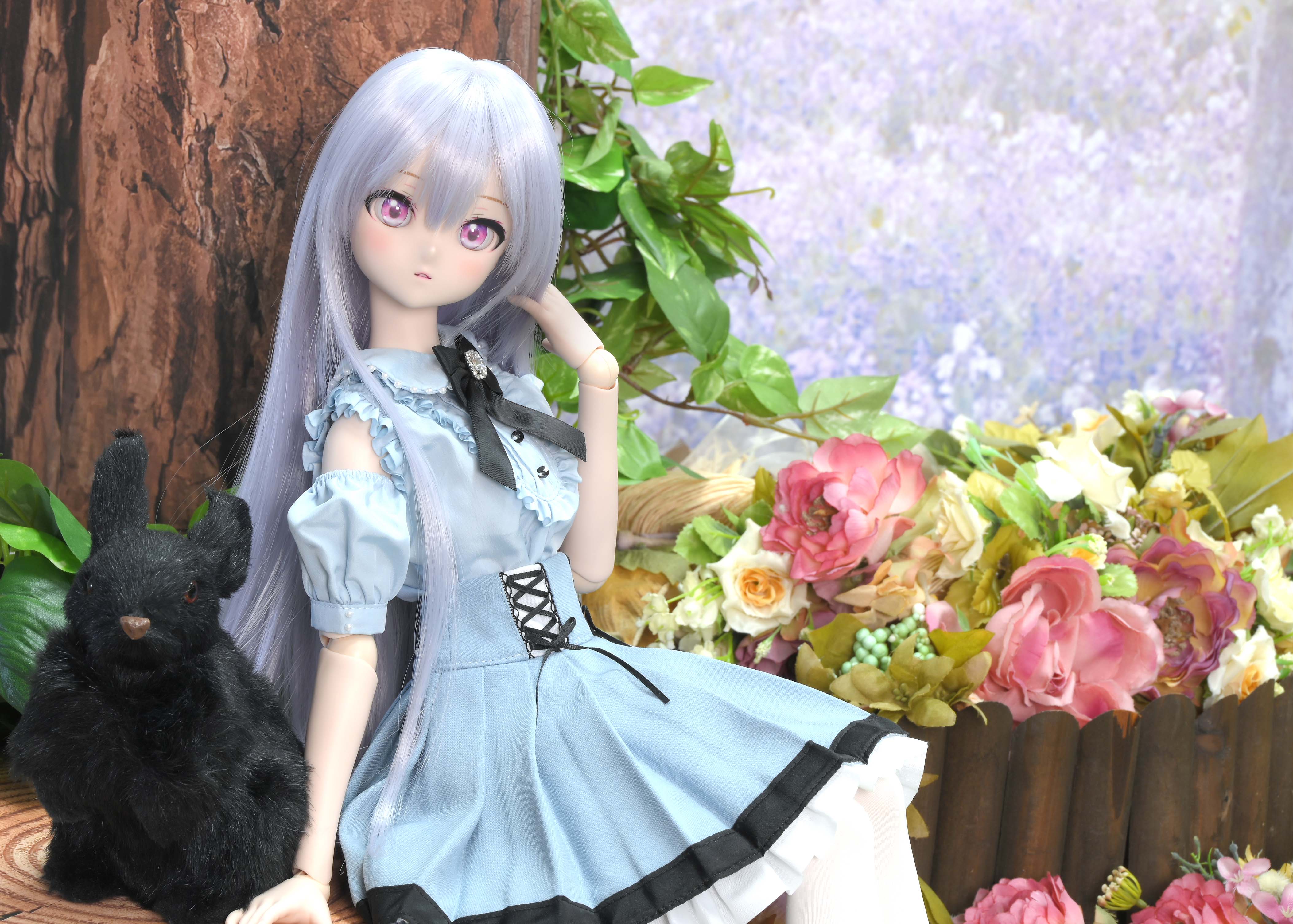 ドルフィードリームのいる生活のご紹介♪～ドルパ 後編～