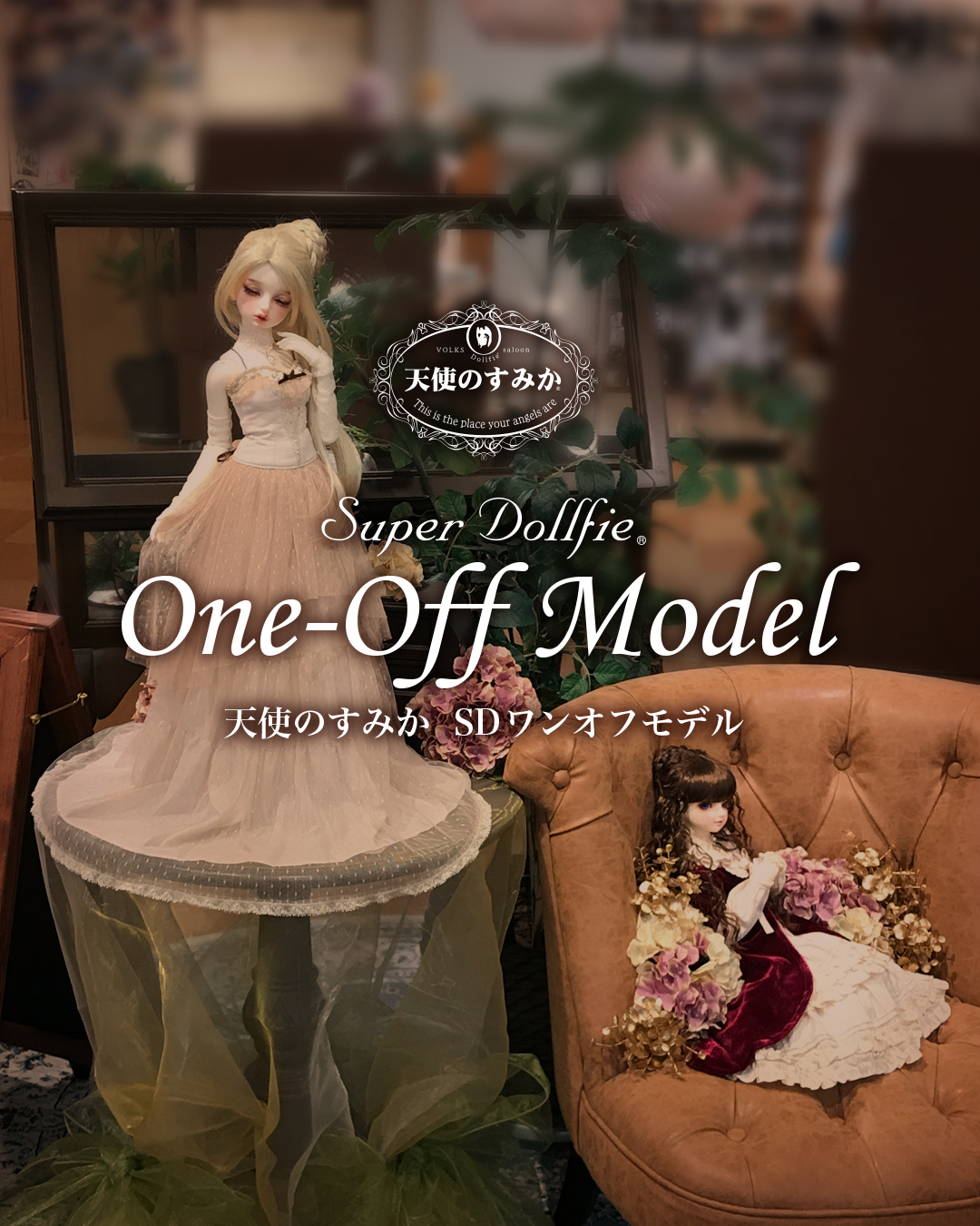 2026年2月15日（日）天使のすみか SDワンオフモデルお披露目