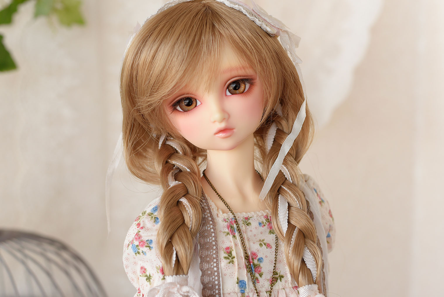 フォロワー数5万人ありがとうキャンペーン＊プレゼント紹介