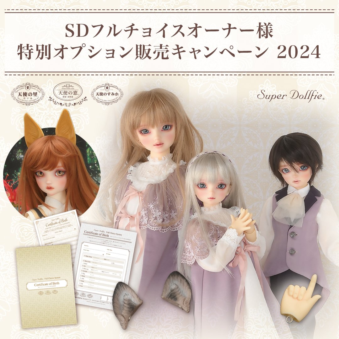 2025/1/31まで】SDフルチョイス オーナー様特別オプション販売キャンペーンアイテムのご紹介！ | ボークス ドルフィーブログ