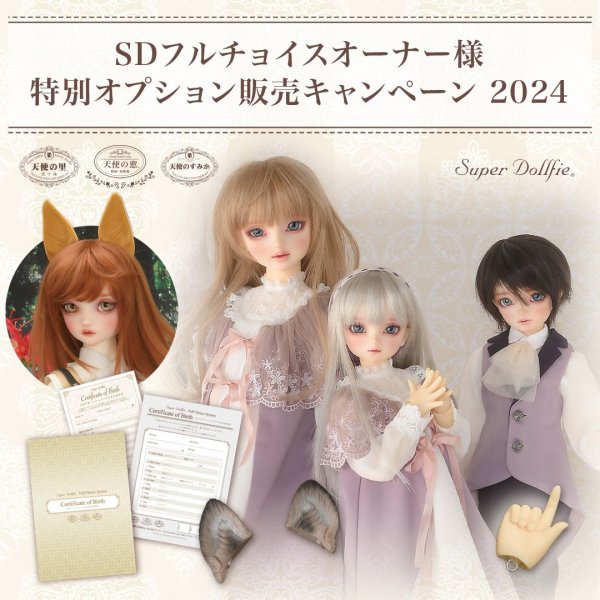 【2025/1/31まで】SDフルチョイス オーナー様特別オプション販売キャンペーンアイテムのご紹介！