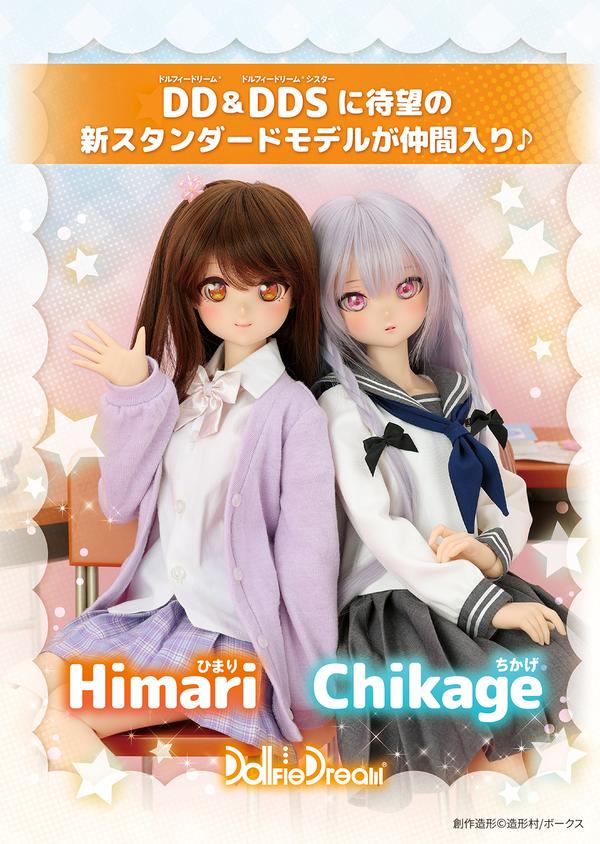 【DDギャザリング2025】DD＆DDSスタンダードモデルの紹介♪