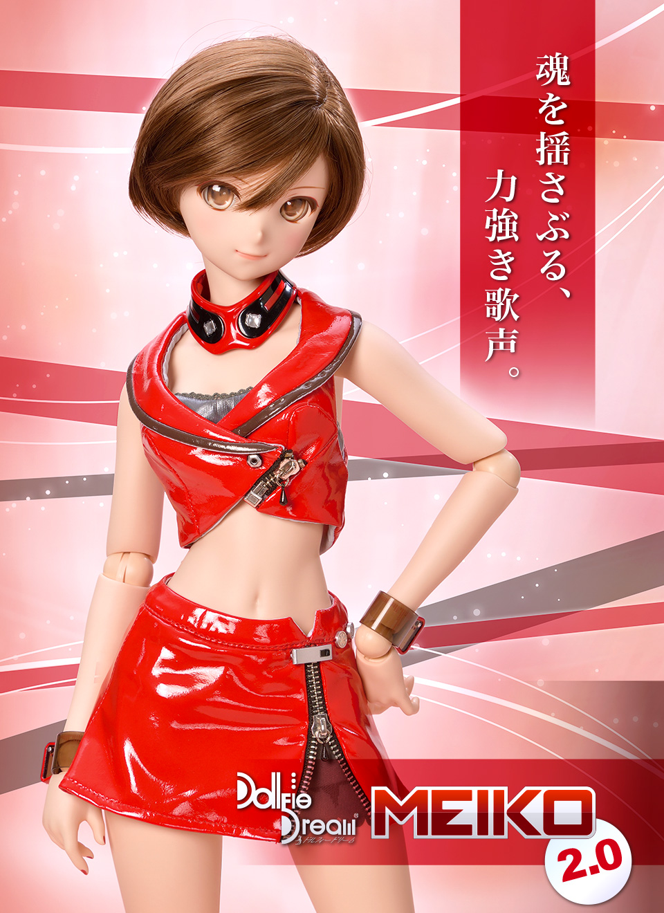 DD MEIKO 2.0
