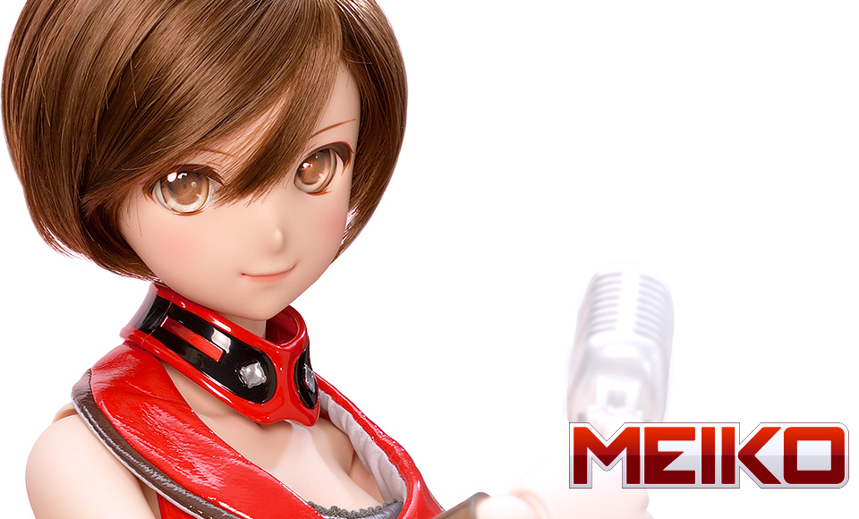 DD MEIKO 2.0