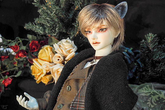 ドールズ パーティー54