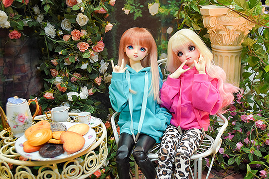 ドールズ パーティー54