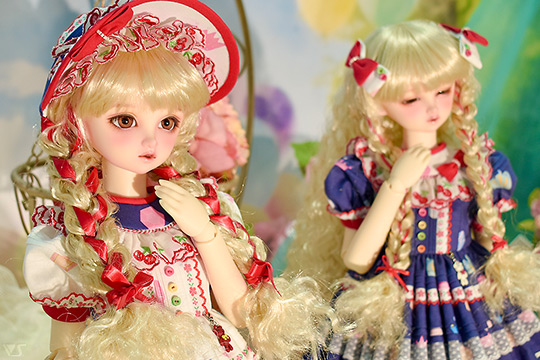 ホームタウンドルパ京都21