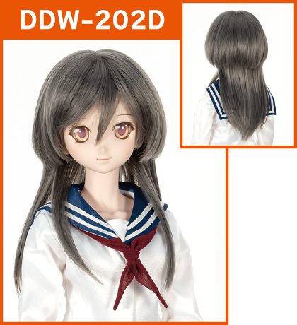 DDW-202D