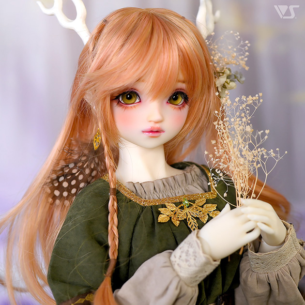 SD 常磐の守り人