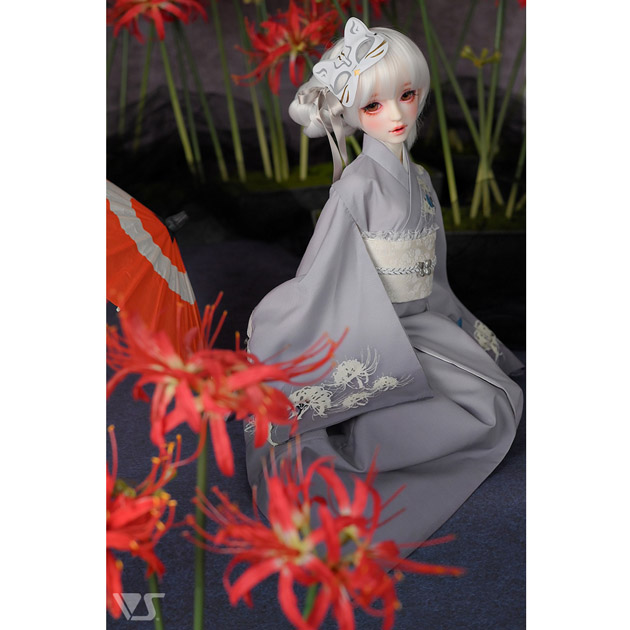 花色夢幻少女（白彼岸花）
