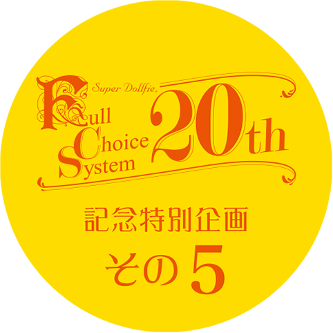 特別企画その3 SDフルチョイス オーナー様特別オプション販売