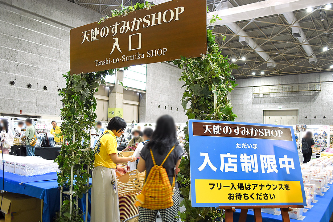 新作販売