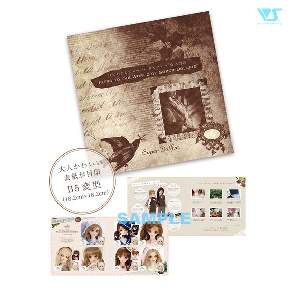 はじめましてスーパードルフィー☆入門書